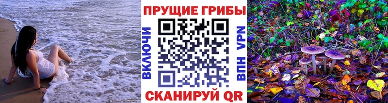 ссылка на мегу ТОР  Ишимбай  Псилоцибиновые грибы Psilocybine cubensis 